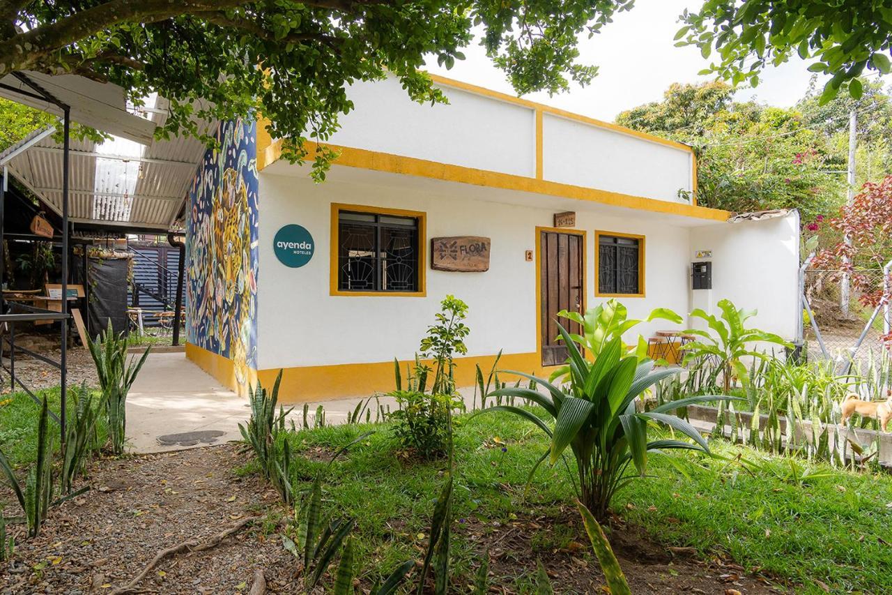 Ayenda Flora Jaguar Bed and Breakfast Ibagué Eksteriør billede